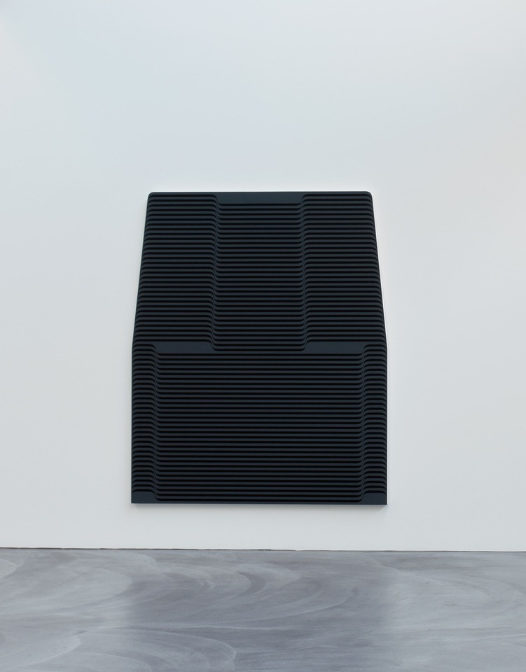 Terry Haggerty, Protrusions and Areas of Concern\
Installation view\
von Bartha, Basel, 2011