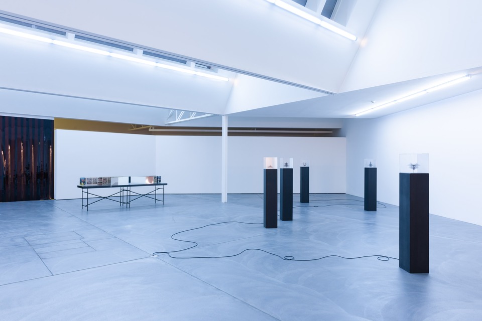 Christian Andersson, The Great and Secret Show by Christian Andersson\
Installation view\
von Bartha, Basel, 2012