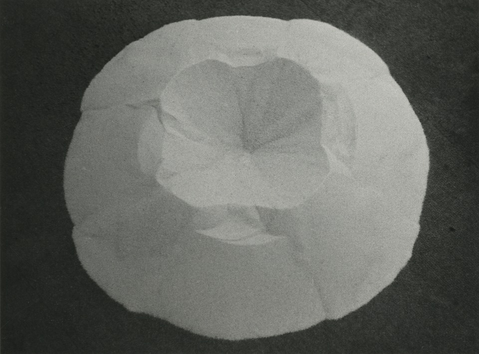 1 ringn ’66, 1966, photography, Cavendish