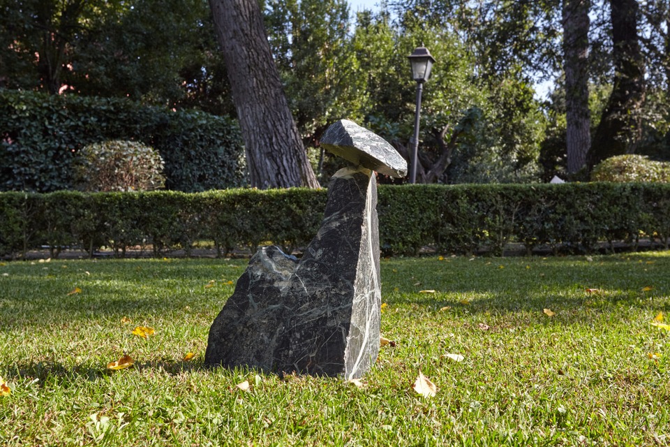 6, Miracle in the Cabbage Patch VIII 78, 1978, Photography, Simon d’Exea