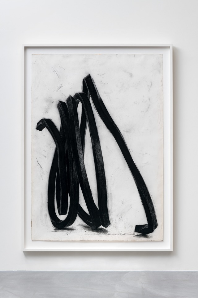 *Undetermined line*, 1988
Pastel / collage on paper
215 x 151 cm