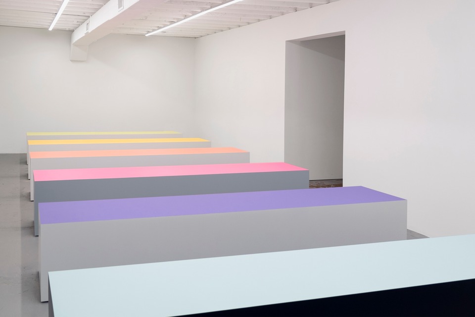 main back untilled web