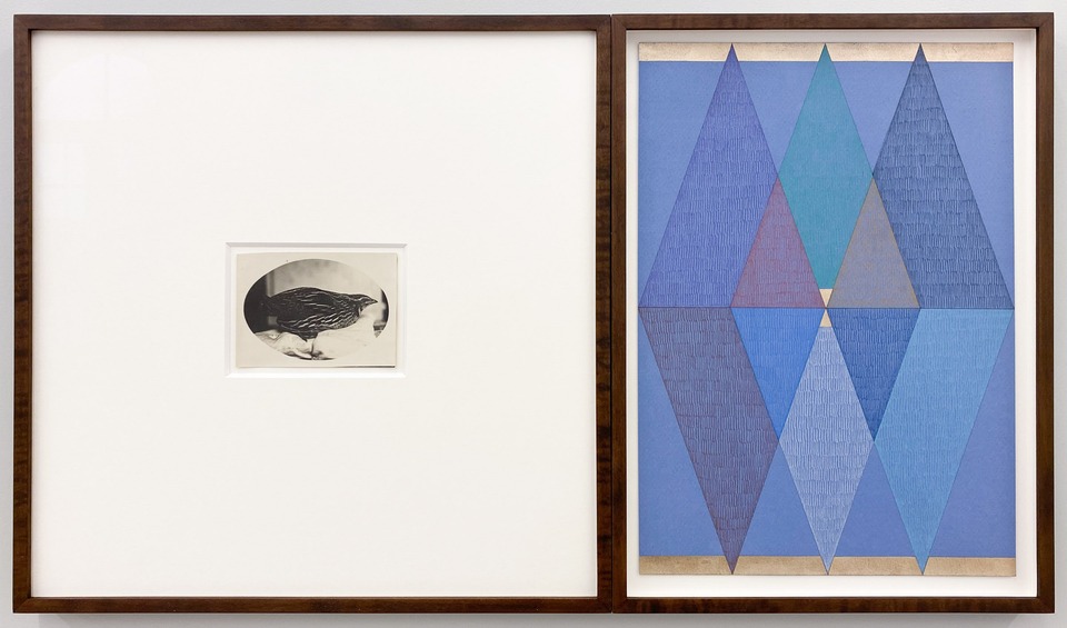 *Partrich*, 2022
Antique photography, Coloured pencil and gold leaf on coloured paper
32.5 x 57 cm