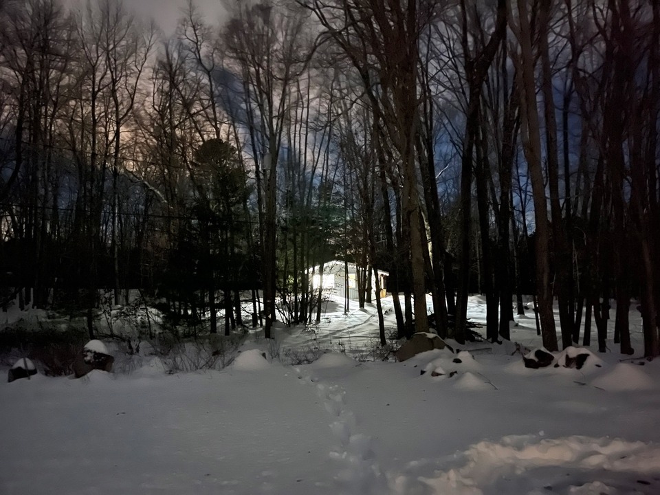 The studio in the forest in Upstate New York