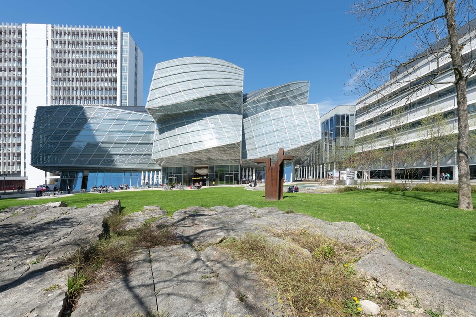 frontal-view-of-gehry-building
