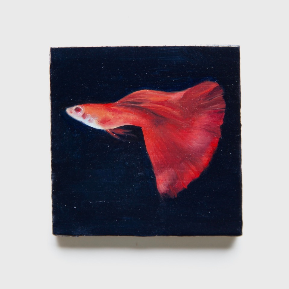 Francisco Sierra
Guppy, 2022
Oil on wood
6.5 x 6.5 cm