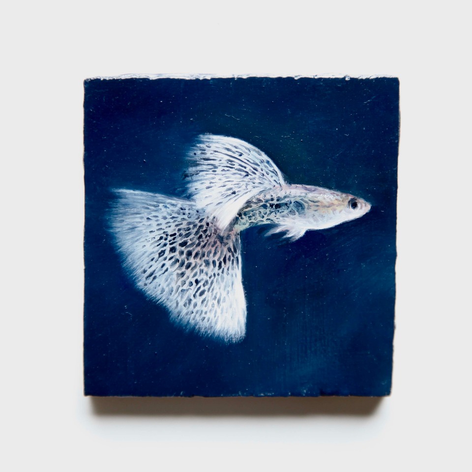 Francisco Sierra
Guppy, 2022
Oil on wood
6.5 x 6.5 cm