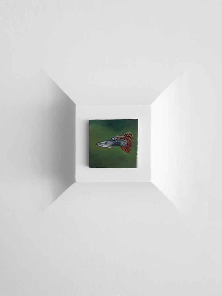 Exhibition view with Guppy, 2022
at Kunsthalle Appenzell
Photo ©Kunsthalle Appenzell, Urs Baumann