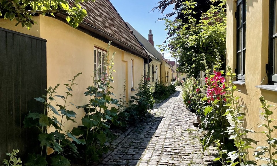 IMG_1440_3-1200×720