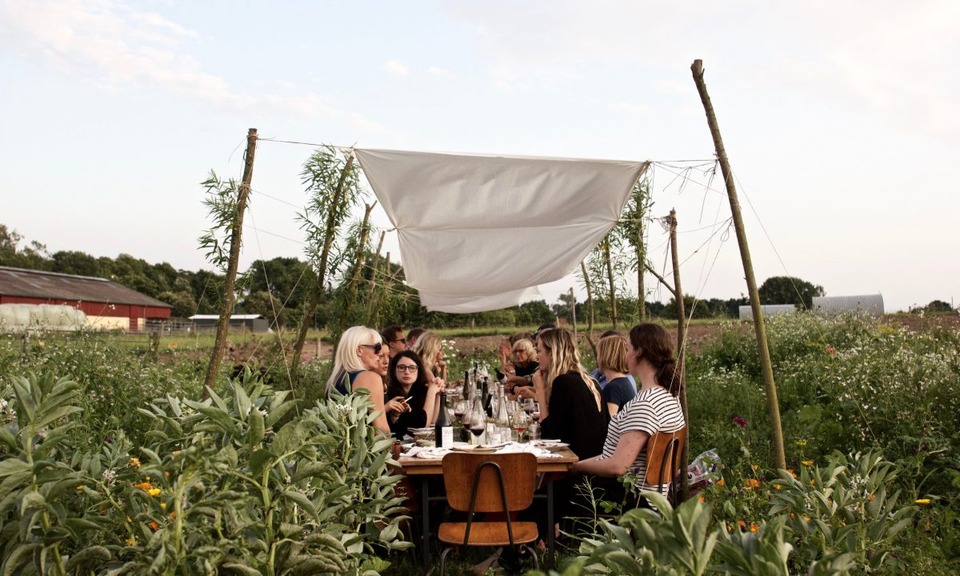 mark-middag-birkemosegaard-koekken-1200×720