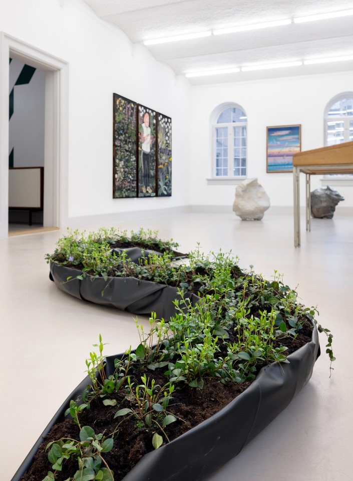 Cecilia Germain\
Periwinkle Path, 2021\
Periwinkle plants, soil\
21 x 282 x 32,5 cm