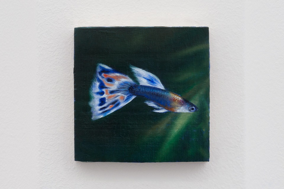 Francisco Sierra,\
*Guppy*, 2024\
1 of 48 panels, oil on wood,\
6.5 × 6.5 cm.\
Photo: Sebastian Verdon