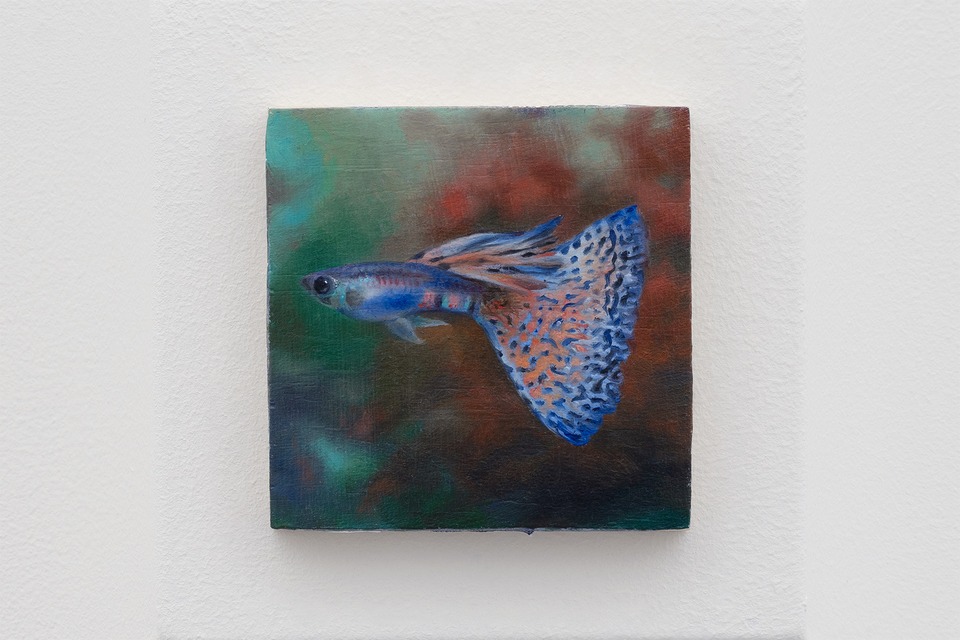 Francisco Sierra,\
*Guppy*, 2024\
1 of 48 panels, oil on wood,\
6.5 × 6.5 cm.\
Photo: Sebastian Verdon