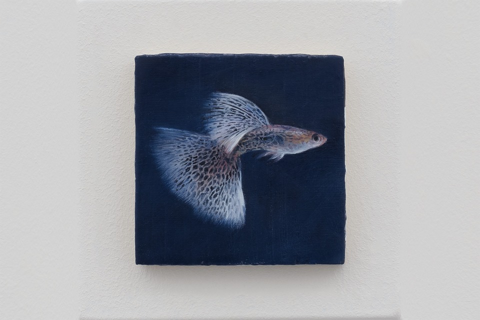 Francisco Sierra,\
*Guppy*, 2024\
1 of 48 panels, oil on wood,\
6.5 × 6.5 cm.\
Photo: Sebastian Verdon