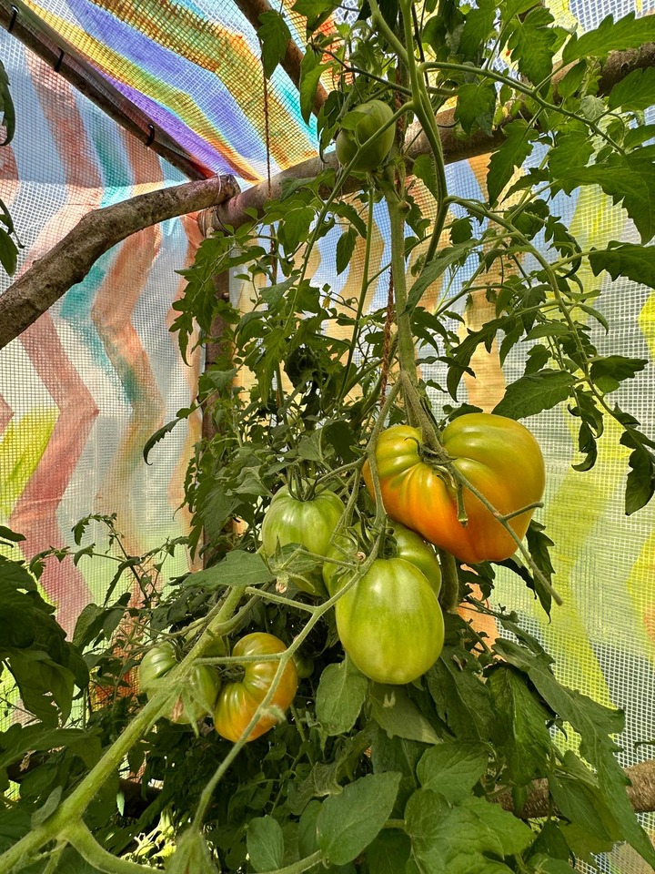 … a few weeks later.
