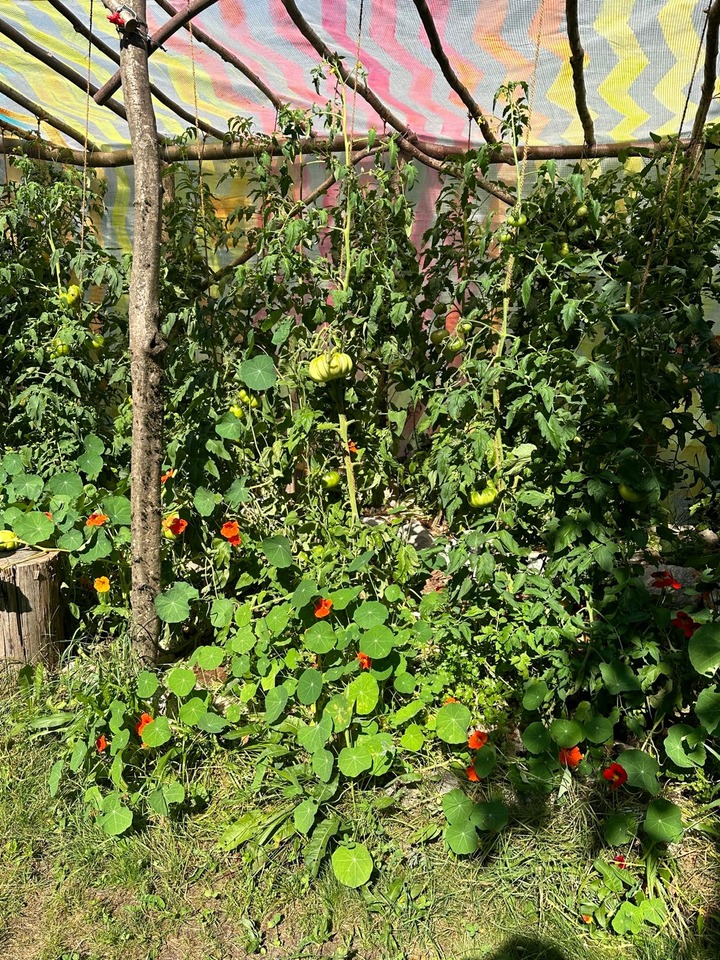 … a few weeks later.
