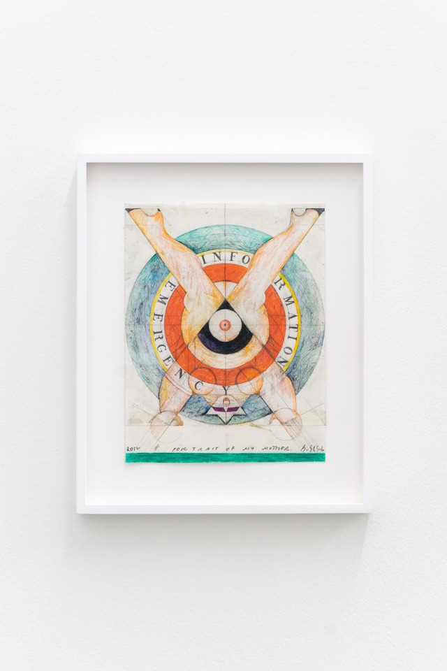 Barbara Stauffacher Solomon, *Portrait of My Mother*, 2012
