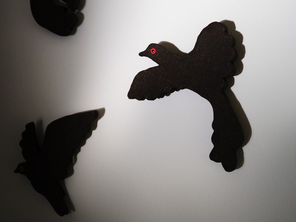 Detail of the wall installation "EX (Passenger Pigeon)," 2025. One of several handmade ceramic passenger pigeons. Photo by Lucie Schrag

